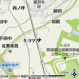 愛知県豊田市篠原町キヨツカ44-1周辺の地図