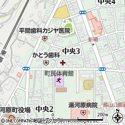 神奈川県足柄下郡湯河原町中央3丁目7-4周辺の地図