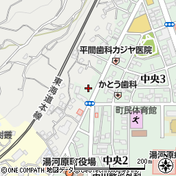 神奈川県足柄下郡湯河原町中央3丁目12周辺の地図