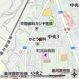 有限会社山昭周辺の地図