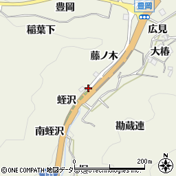 愛知県豊田市富岡町蛭沢周辺の地図