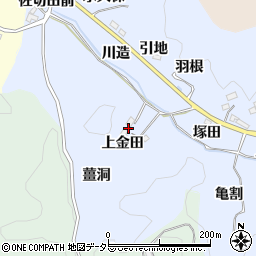 愛知県豊田市足助白山町上金田周辺の地図