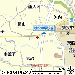 愛知県豊田市加納町大沼周辺の地図