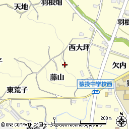 愛知県豊田市加納町西大坪周辺の地図
