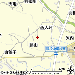 愛知県豊田市加納町（西大坪）周辺の地図