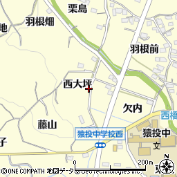 愛知県豊田市加納町西大坪19-5周辺の地図