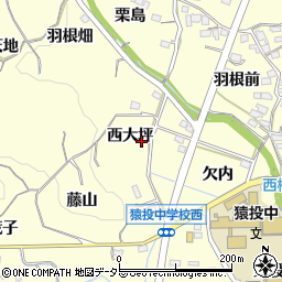 愛知県豊田市加納町西大坪19周辺の地図