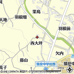愛知県豊田市加納町西大坪24周辺の地図