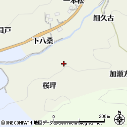 愛知県豊田市新盛町桜坪周辺の地図