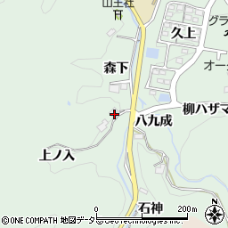 愛知県豊田市大蔵町上ノ入周辺の地図