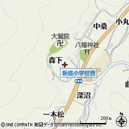 愛知県豊田市新盛町森下周辺の地図