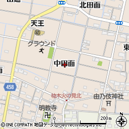 愛知県愛西市柚木町中田面周辺の地図