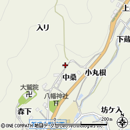 愛知県豊田市新盛町中桑周辺の地図