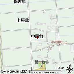 愛知県愛西市小茂井町中屋敷周辺の地図