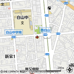 新栄サンダイマンション周辺の地図