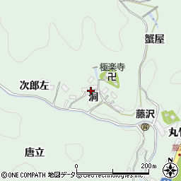 愛知県豊田市藤沢町洞周辺の地図