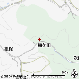 愛知県豊田市藤沢町梅ケ田周辺の地図