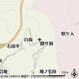 愛知県豊田市新盛町開サ洞周辺の地図