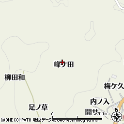 愛知県豊田市新盛町（峰ケ田）周辺の地図