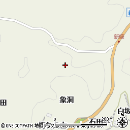 愛知県豊田市新盛町向洞周辺の地図