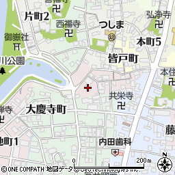 愛知県津島市薬師町周辺の地図
