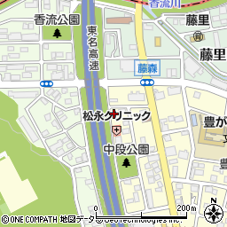愛知県名古屋市名東区豊が丘209周辺の地図