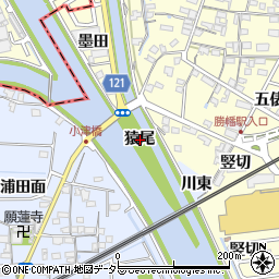 愛知県愛西市小津町猿尾周辺の地図
