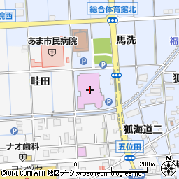 甚目寺総合体育館周辺の地図