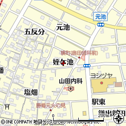 愛知県愛西市勝幡町姪ケ池周辺の地図