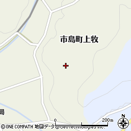 兵庫県丹波市市島町上牧135周辺の地図
