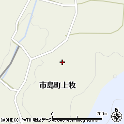 兵庫県丹波市市島町上牧241周辺の地図