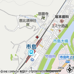 兵庫県丹波市市島町市島338周辺の地図