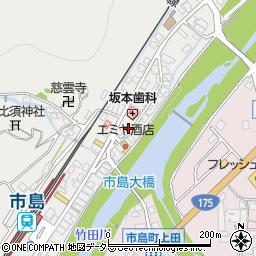 兵庫県丹波市市島町市島365周辺の地図