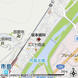 兵庫県丹波市市島町市島372-3周辺の地図