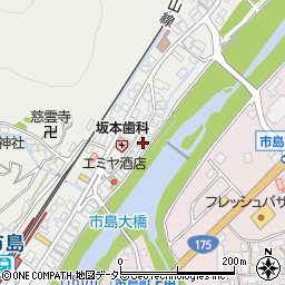 兵庫県丹波市市島町市島368周辺の地図