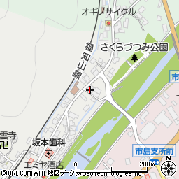 兵庫県丹波市市島町市島396-3周辺の地図