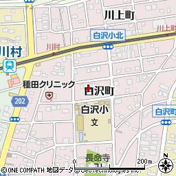 愛知県名古屋市守山区白沢町134-6周辺の地図