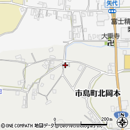 兵庫県丹波市市島町北岡本247周辺の地図