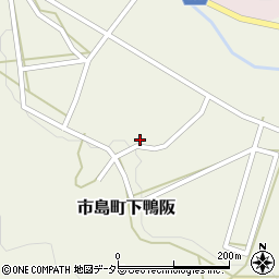 兵庫県丹波市市島町下鴨阪215周辺の地図
