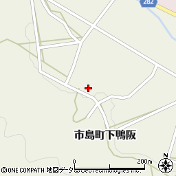 兵庫県丹波市市島町下鴨阪241周辺の地図