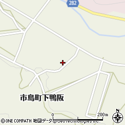 兵庫県丹波市市島町下鴨阪1003周辺の地図