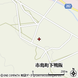 兵庫県丹波市市島町下鴨阪250周辺の地図