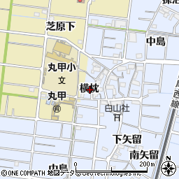 愛知県稲沢市祖父江町三丸渕横枕周辺の地図