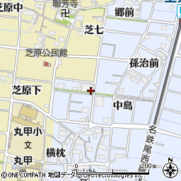 愛知県稲沢市祖父江町三丸渕中島4周辺の地図