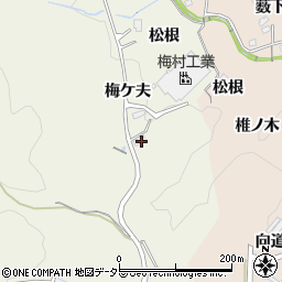 愛知県豊田市石畳町梅ケ夫周辺の地図