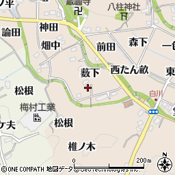 愛知県豊田市白川町薮下11周辺の地図