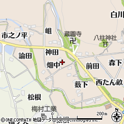 愛知県豊田市白川町（畑中）周辺の地図
