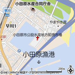 株式会社小田原魚市場　冷凍塩干部周辺の地図