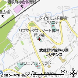 リブマックスリゾート箱根芦ノ湖周辺の地図