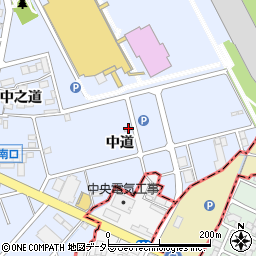 愛知県西春日井郡豊山町豊場中道48周辺の地図